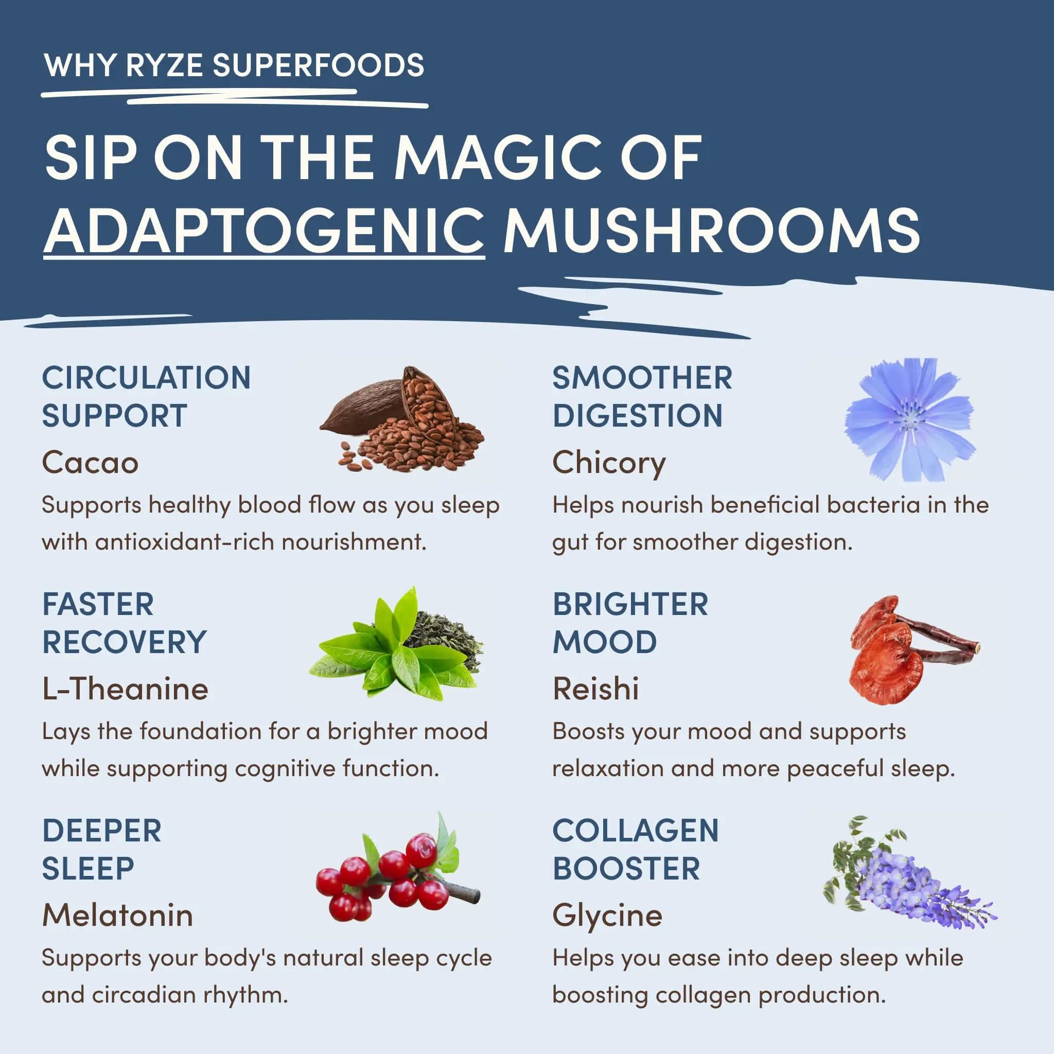 Day + Night Bundle (Coffee + Cocoa) - 图片 4